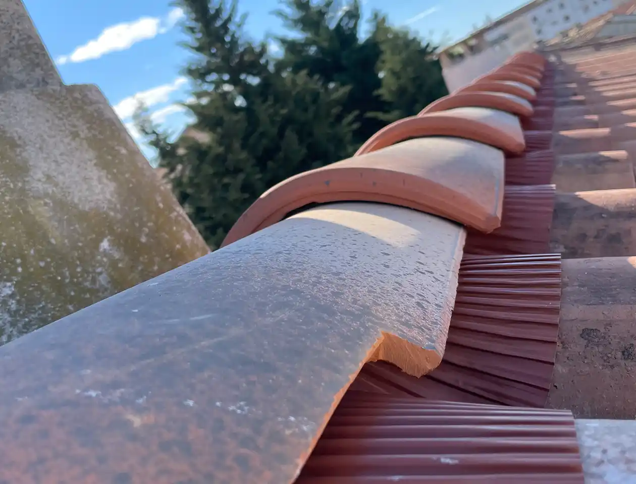 Vue rapprochée de tuiles en terre cuite et de tuiles faîtières, dont le dessous est recouvert d'une matière brune ressemblant à un pinceau - ce qui pourrait indiquer un changement de faîtage -, sur fond d'arbres et de ciel partiellement nuageux.