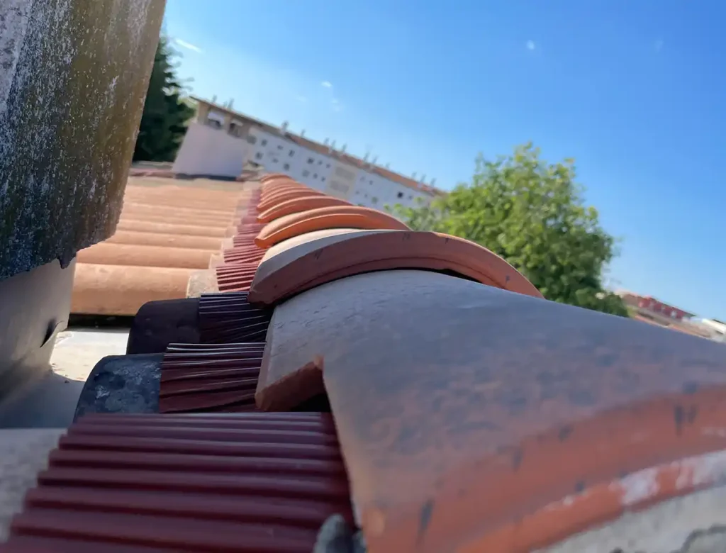 Vue rapprochée de tuiles courbes en terre cuite sous un ciel bleu, présentant un récent changement de faîtage, avec des immeubles résidentiels et un arbre vert en arrière-plan.