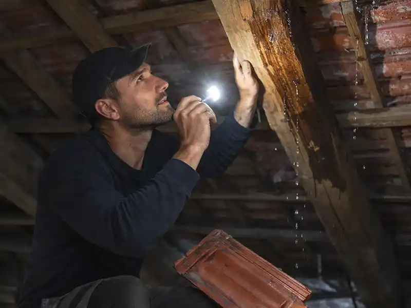 Nettoyage fa&ccedil;ade &agrave; haute pression sous le soleil